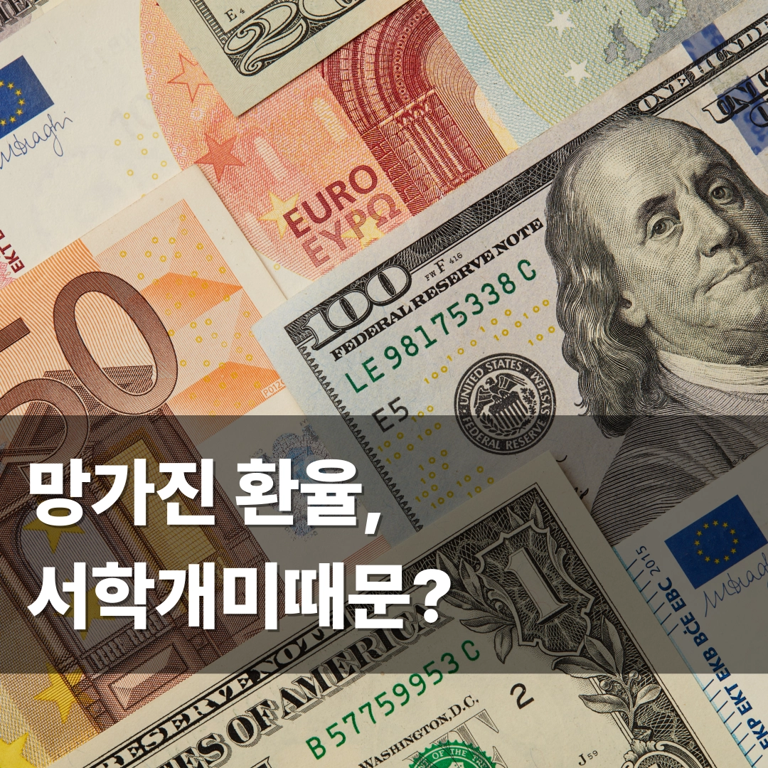 원달러 환율 망가진 이유