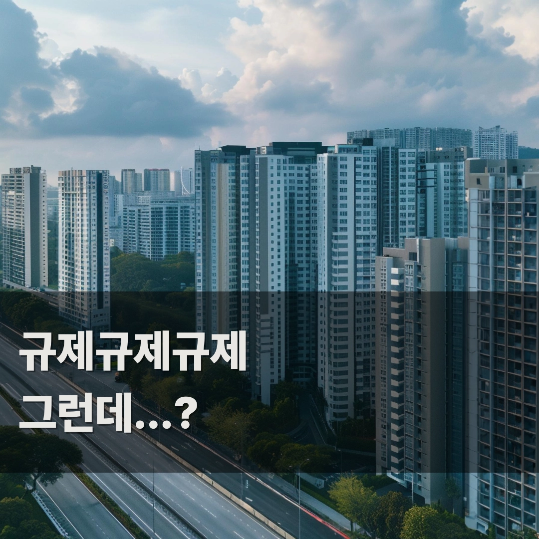 부동산 규제지역 3종 설명