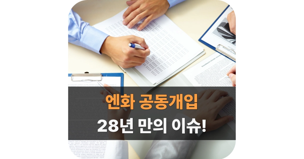 28년 만의 엔화 공동개입 대표 이미지