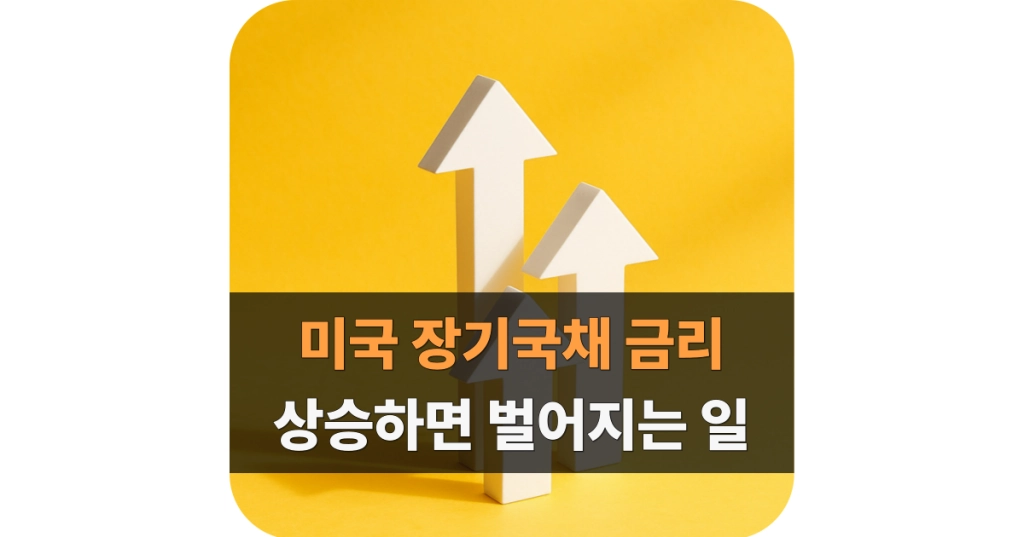 미국 장기국채 금리